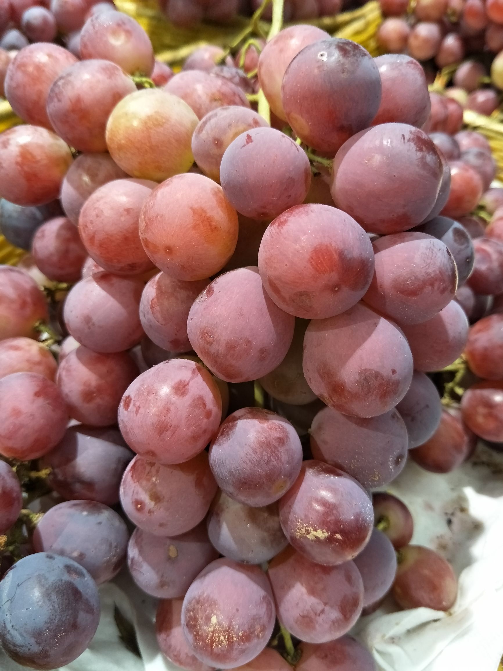 opporeno6pro+值不值得入手,oppofindn值不值得买