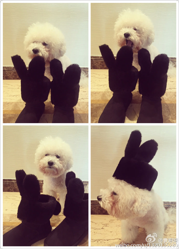 陈乔恩跟袁姗姗,陈乔恩和袁姗姗