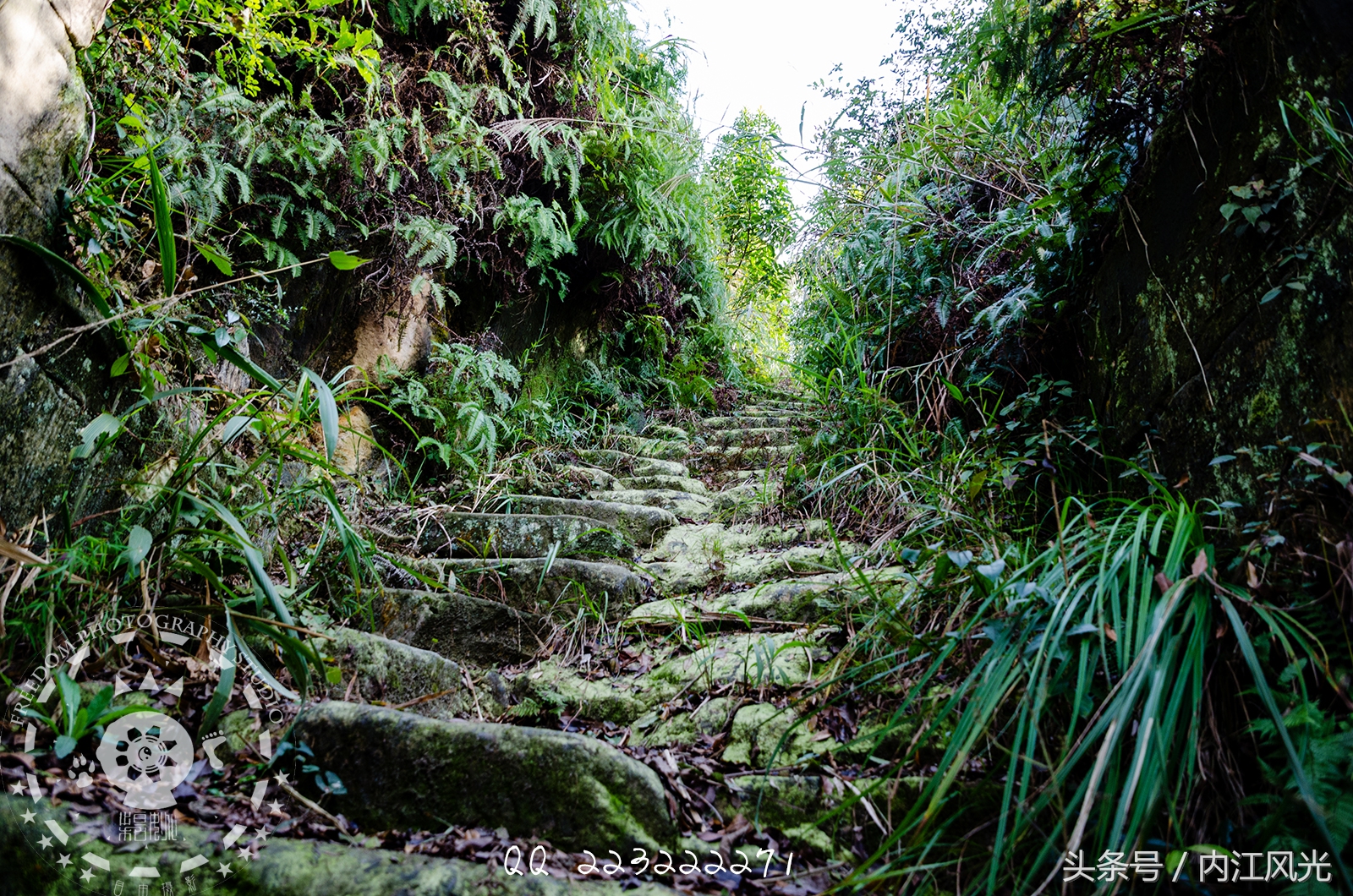 攀越震撼的内江威远高顶寨