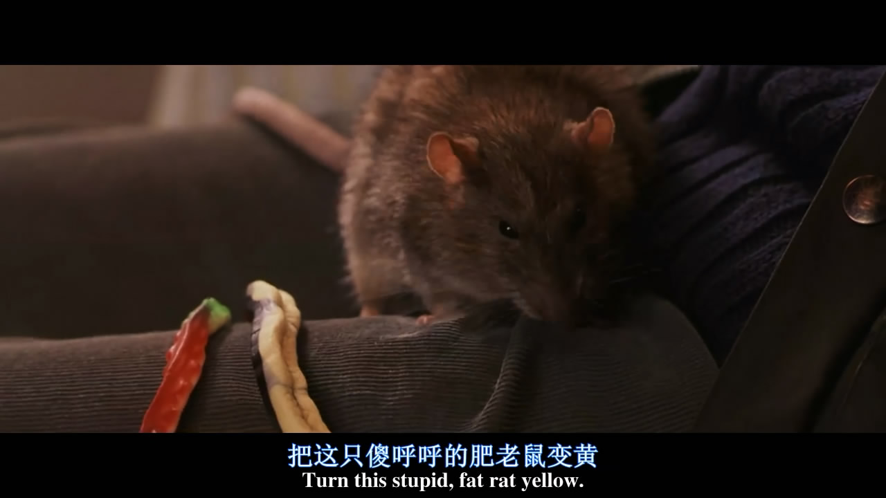 你还记得那颗干鼻屎味道的多味豆吗