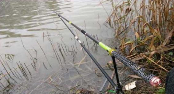 钓鱼人太牛！大风大雨中垂钓也能迎来鲤鲫大丰收