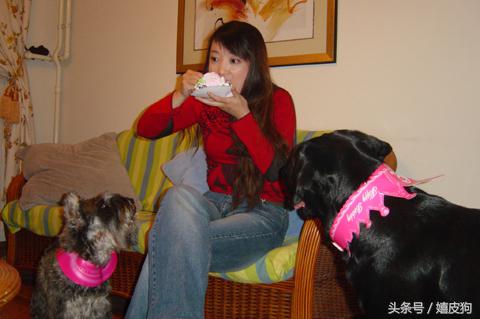 大狗黑色黄色,大狗黑灰色