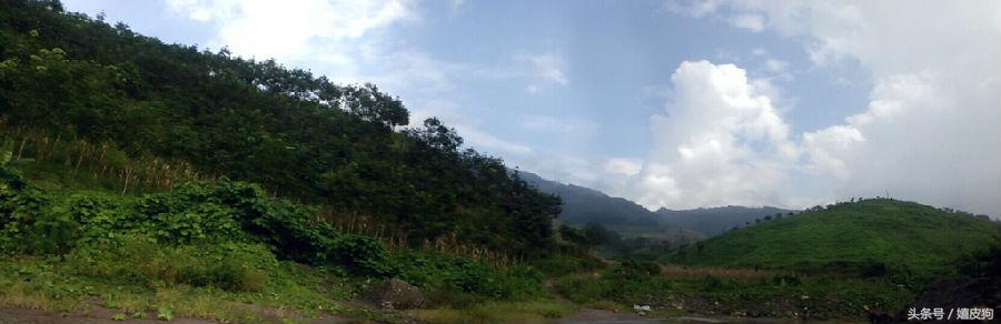 大狗黑色黄色,大狗黑灰色