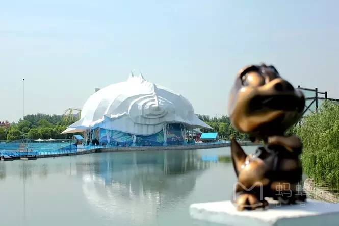 像孩子去游乐园一样开心,像个孩子去旅游