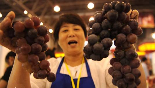 市十三届人大二次会议胜利闭幕,市十七届人大五次会议胜利闭幕