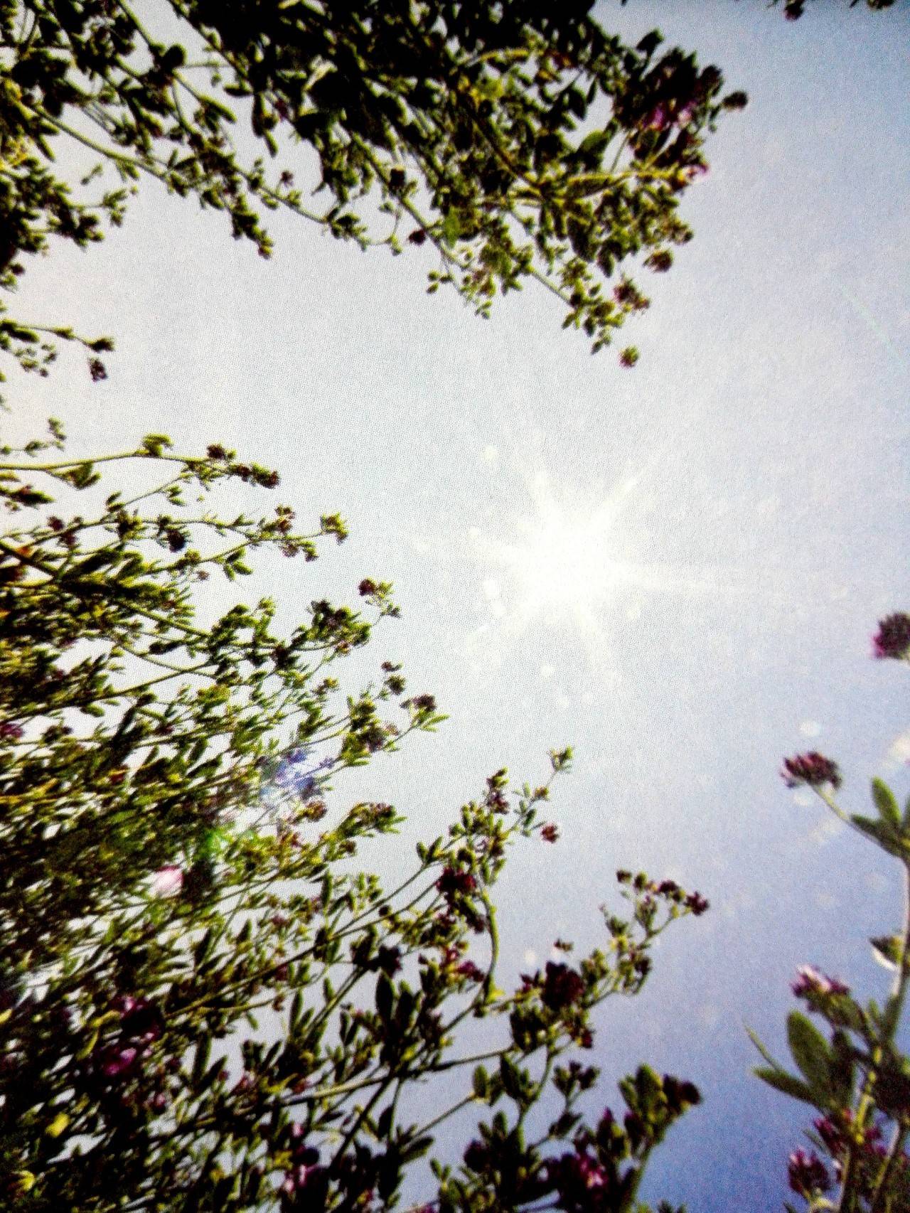 2015年的小说书单,2015年图书