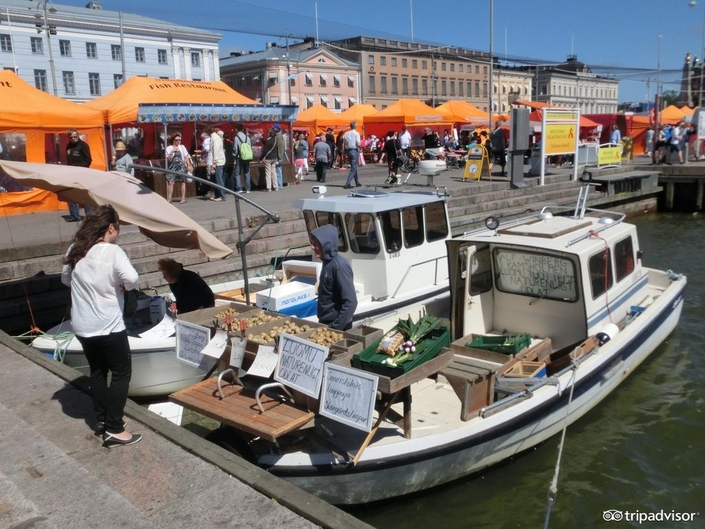 芬兰极光大爆发,2016极光