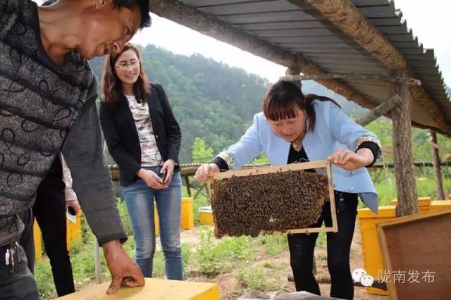 脱贫攻坚战上的巾帼担当,脱贫路上展现巾帼风采
