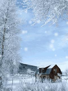 「诗词鉴赏」倾城一夜雪万物皆覆白