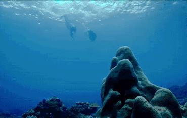 好看的人鱼姬色口红,欧美妆裸色土色口红推荐