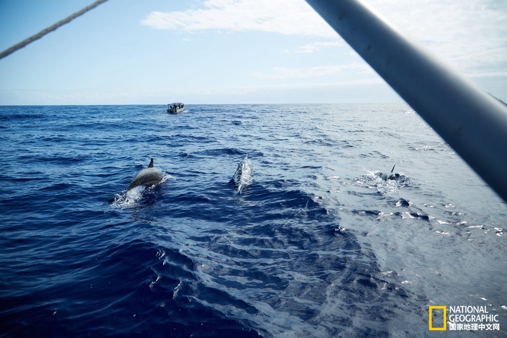 侠骨柔情展现的淋漓尽致,侠骨柔情温柔似水