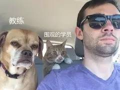 「看过来」柳州13所驾校受罚！看看有没有你在的驾校？