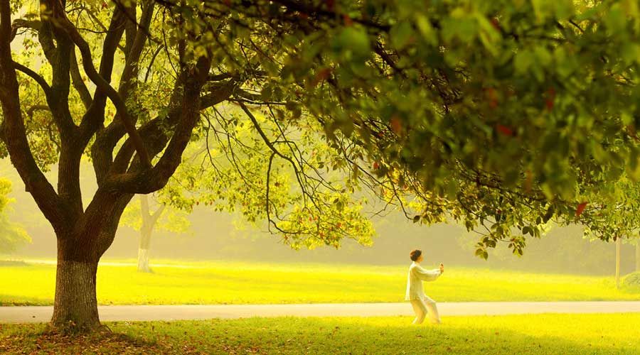 得了肺炎严重吗如何有效治疗,得了肺炎怎么都不退烧