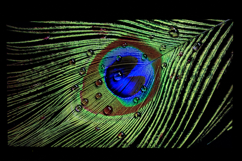 夏普lcd50tx55a拆解视频,夏普lcd-50tx55a怎么选