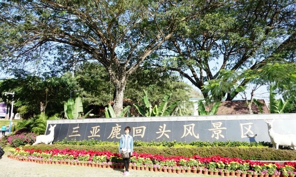 全家去三亚自驾过年攻略,十一月份带全家去三亚