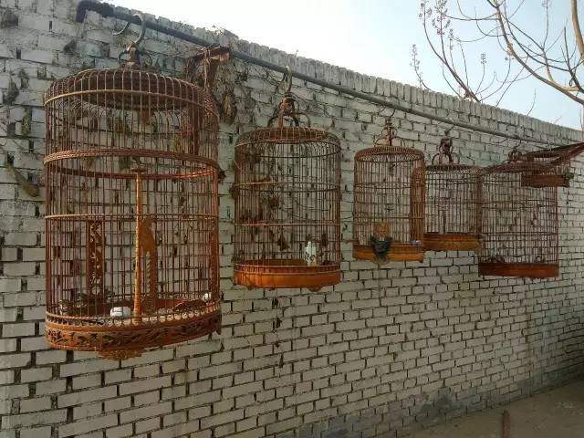 聊城网红巷子小吃,聊城传说中的网红店