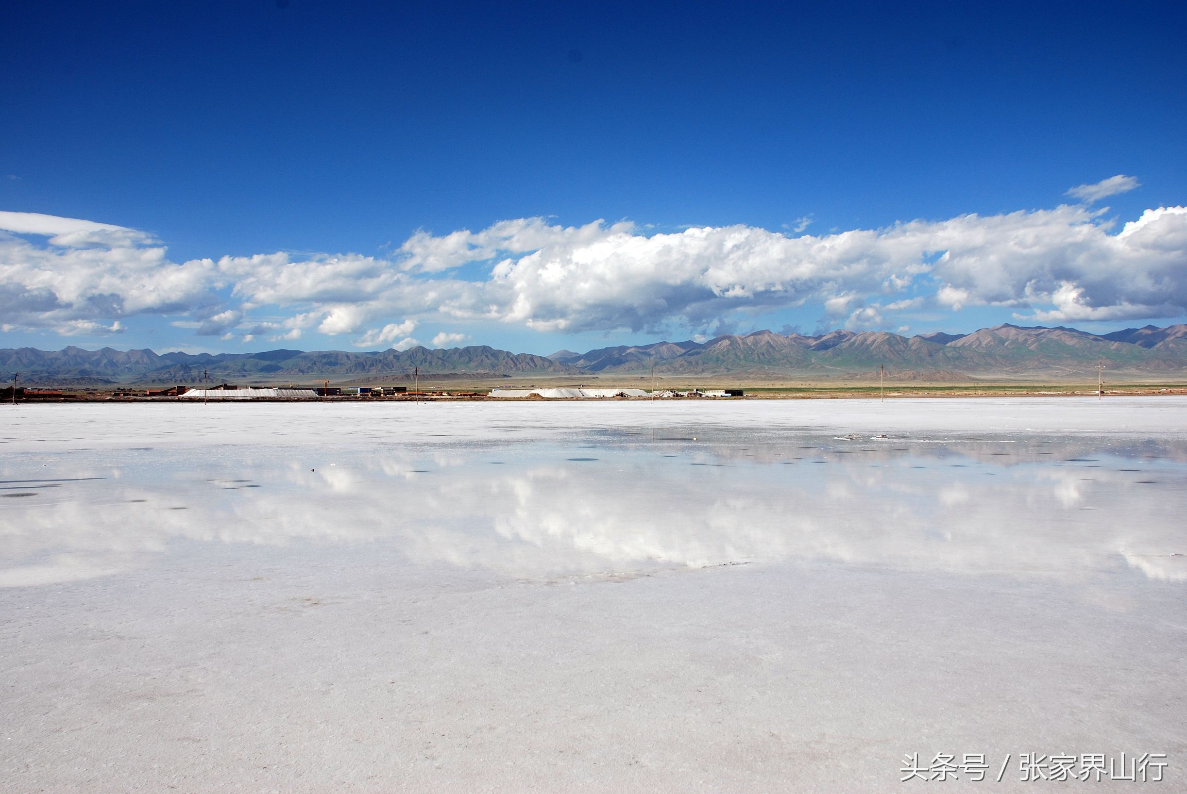 青海拉面和兰州拉面,兰州拉面青海拉面