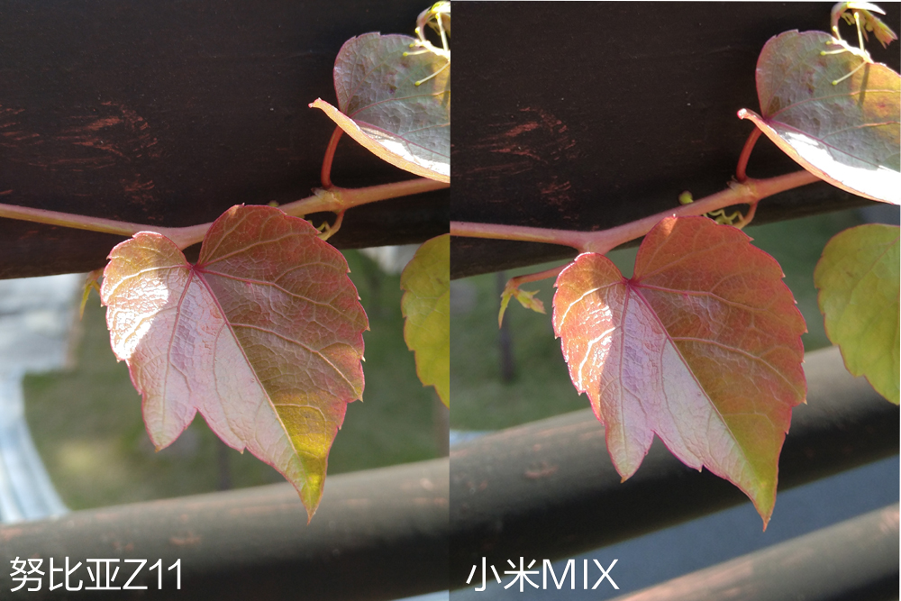 努比亚z40spro和小米11u拍照,小米11ultra和努比亚Z40拍照