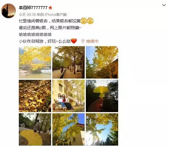南雄看银杏值得去吗,南雄看银杏攻略