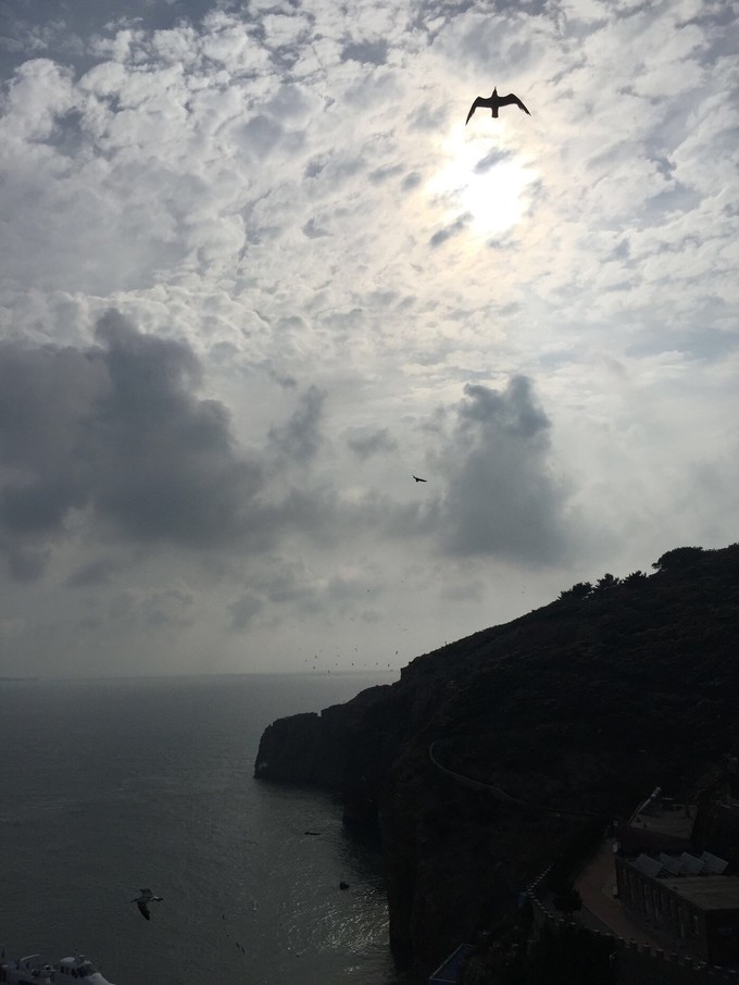 那年夏天那片海图片,那年夏天那片海