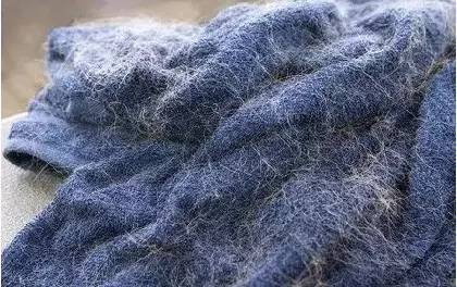 还在为家里掉的头发烦恼,还在为衣服上的猫毛而烦恼吗