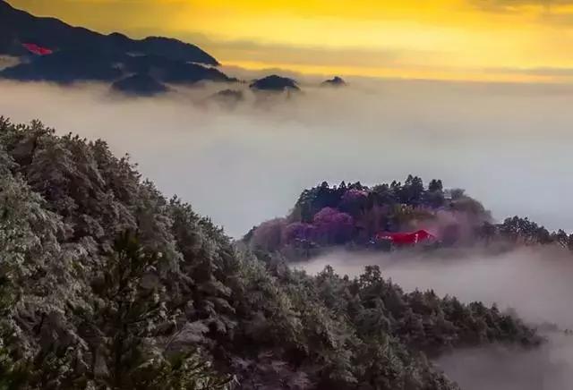 庐山情庐山恋,庐山恋背景