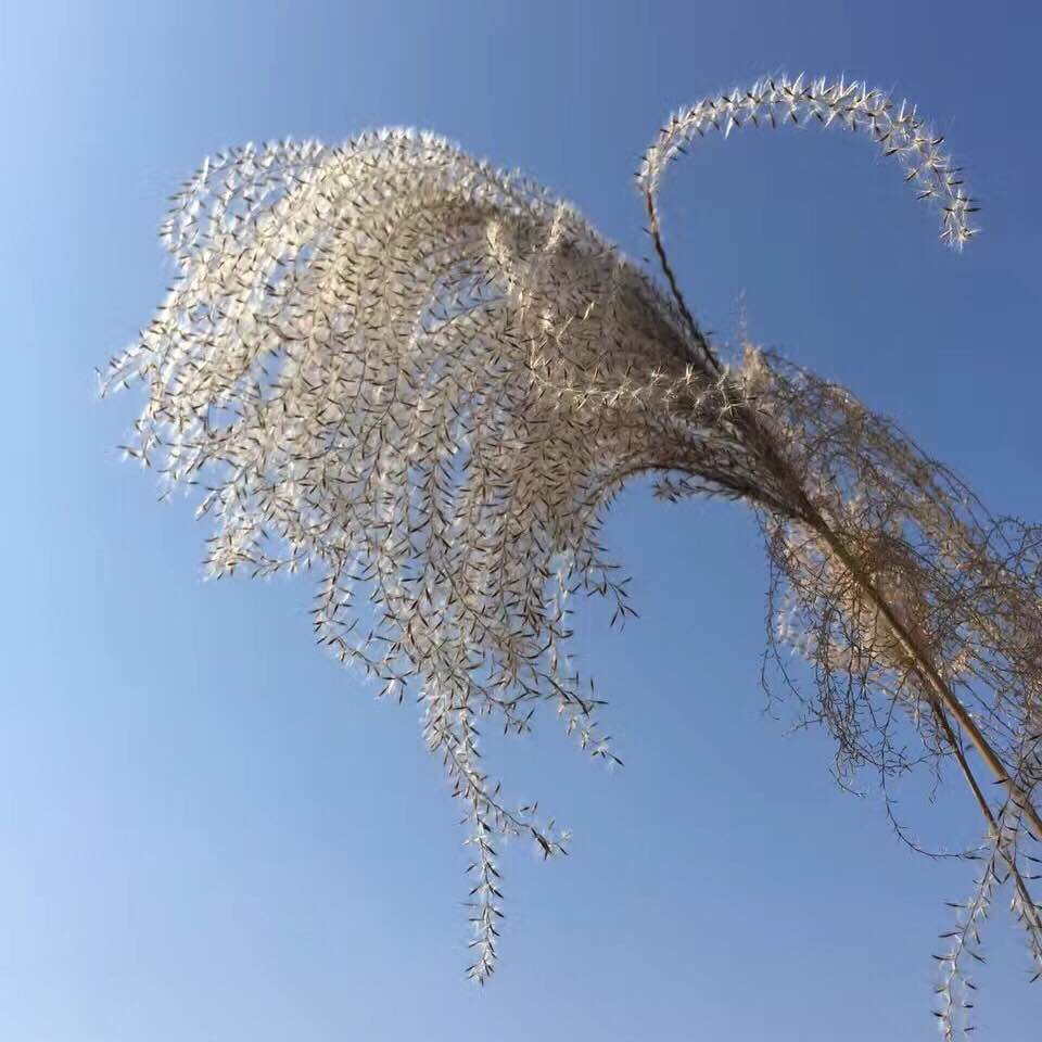 为什么北方的皮肤比南方好,南方女生皮肤为什么那么好