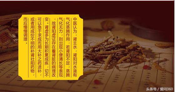 宝和堂海狗丸和神盾海狗丸哪个好,济众堂海狗丸和神盾海狗丸哪个好