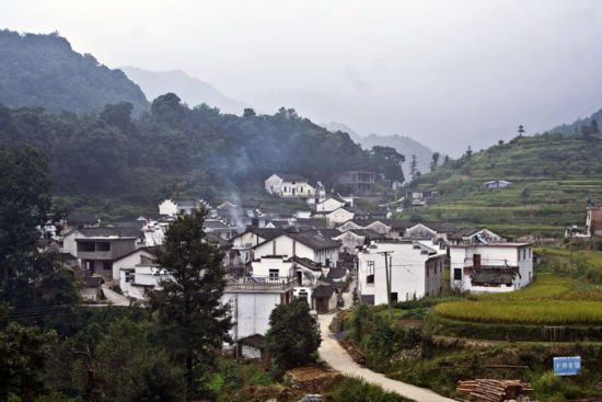 藏在深山无人识,石台县原始森林