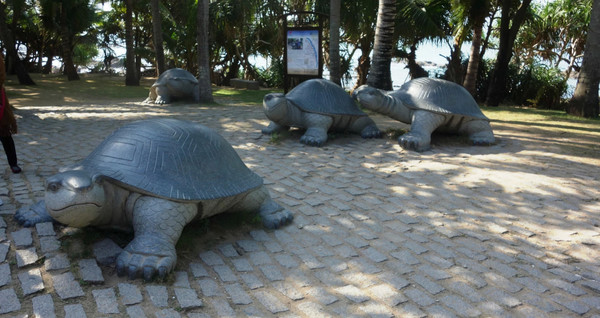 全家到三亚,全家去三亚过春节费用