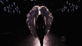 维密秀延续到了哪一年,公认最好看的一件维密秀