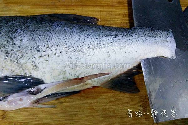 剔鱼片的教程,鱼片的切法剔除鱼刺视频