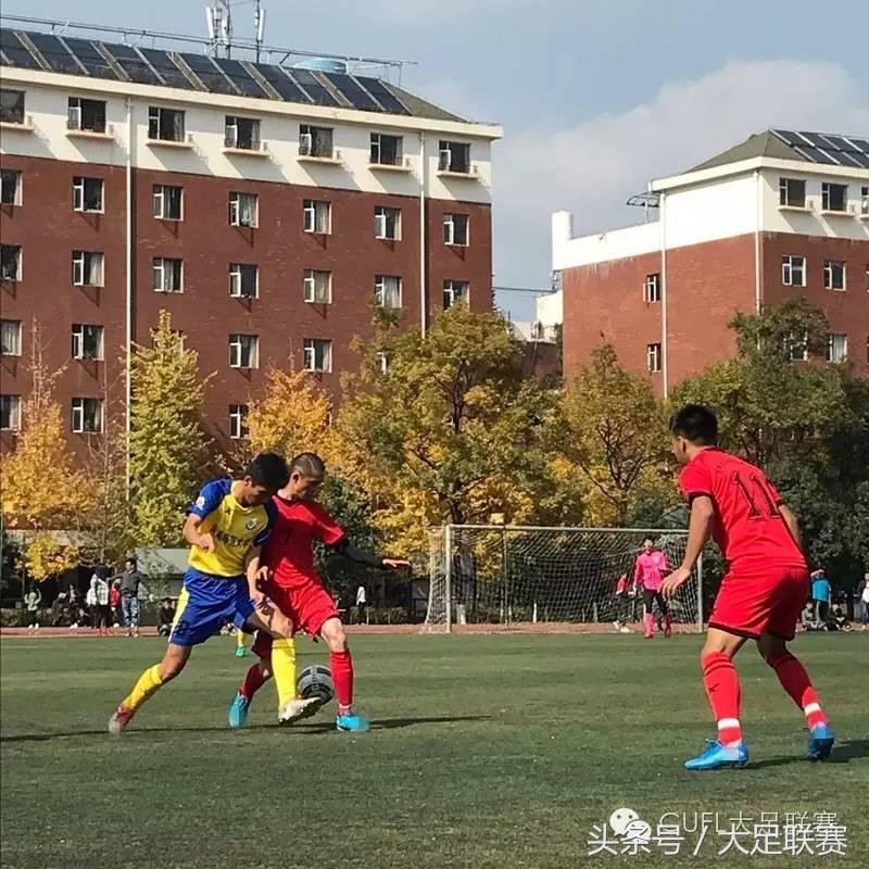 厉害了我的哥搞笑场面,厉害了我的哥拉力赛视频