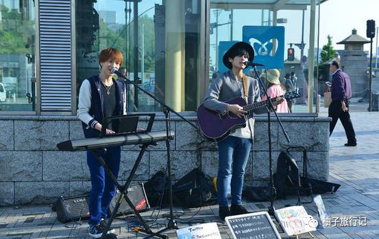 樱花旅行记全集视频,日本樱花7日游攻略大全