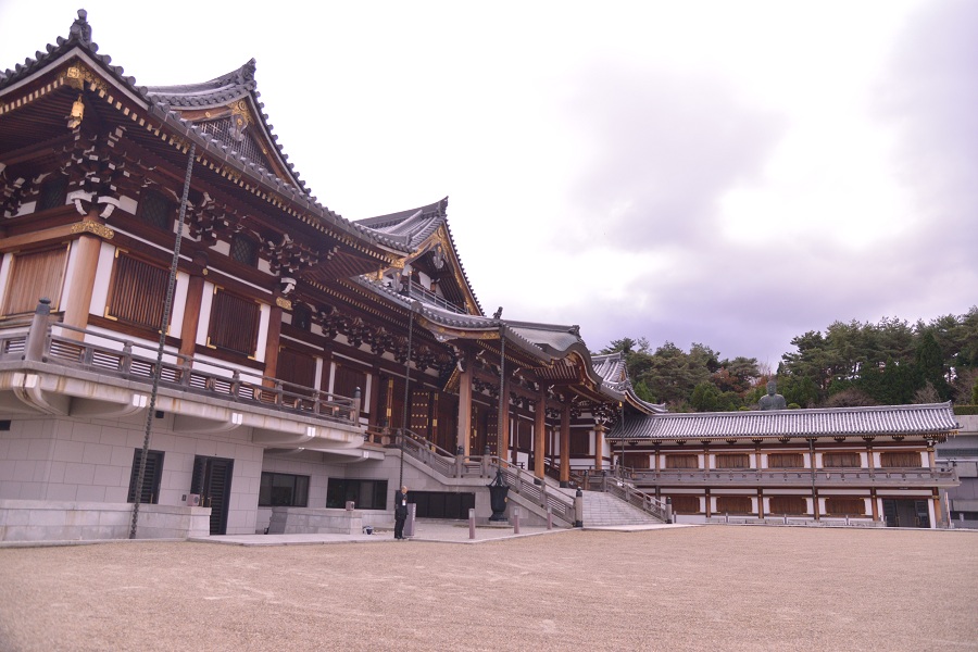 阿含桐山杯视频,阿含桐杯决赛视频完整版