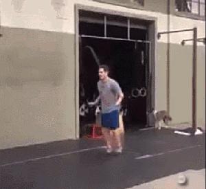 我的炫酷头盔,回头率百分百的头盔