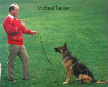 养狗前的十个忠告,养狗之前需要知道的事