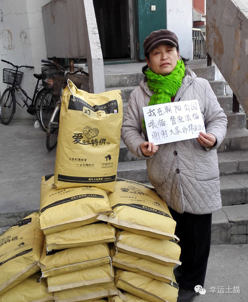 带喂了2年的流浪猫回家过年,公园里的流浪猫吃饱了