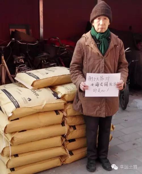 带喂了2年的流浪猫回家过年,公园里的流浪猫吃饱了