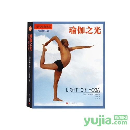 艾扬格23个经典瑜伽动作,艾扬格瑜伽之光在线阅读