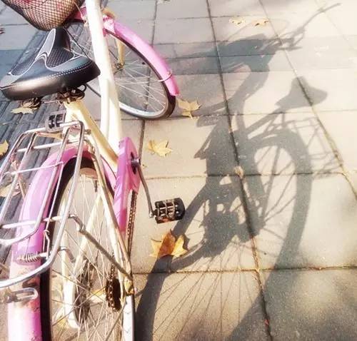 上海落叶不扫景观道,上海秋天不扫落叶的街道