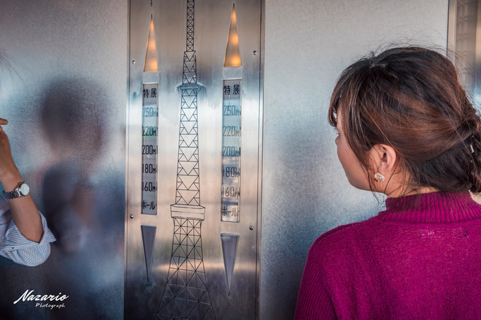 粉红猪小妹与小猪佩奇,粉红猪小妹的快乐生活