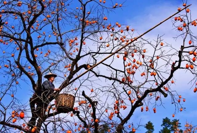 赣州美食不打烊,赣州美食推荐过年不打烊