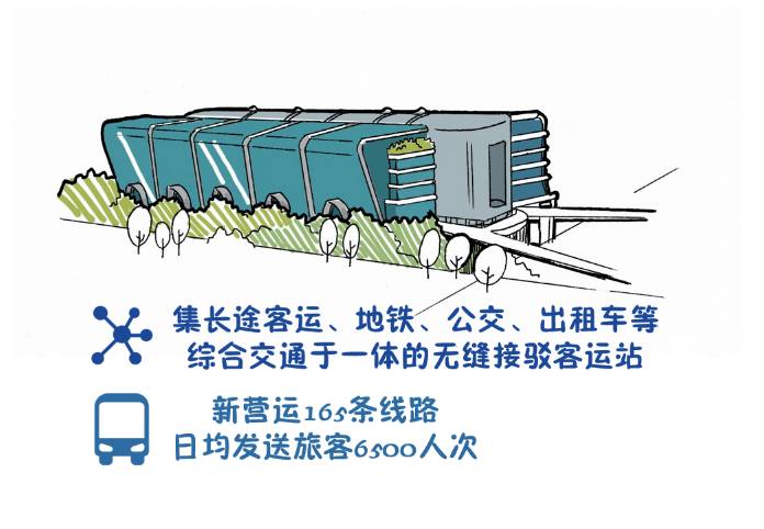 深马开跑的最佳时间,深马开跑图片