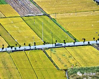 浙江生态环境最好的地方,浙江省自然生态环境最好的城市