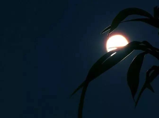 「词风雅韵」涧中石｜故人何在？一叶孤舟，烟水茫茫