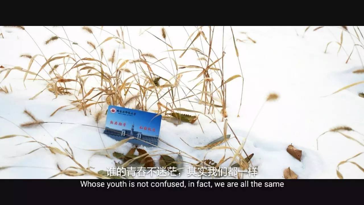 印象哈师大,曾经的哈师大风光