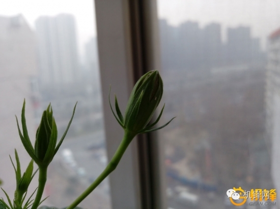 htcdesire10pro分辨率,htcdesire10pro音效怎么样