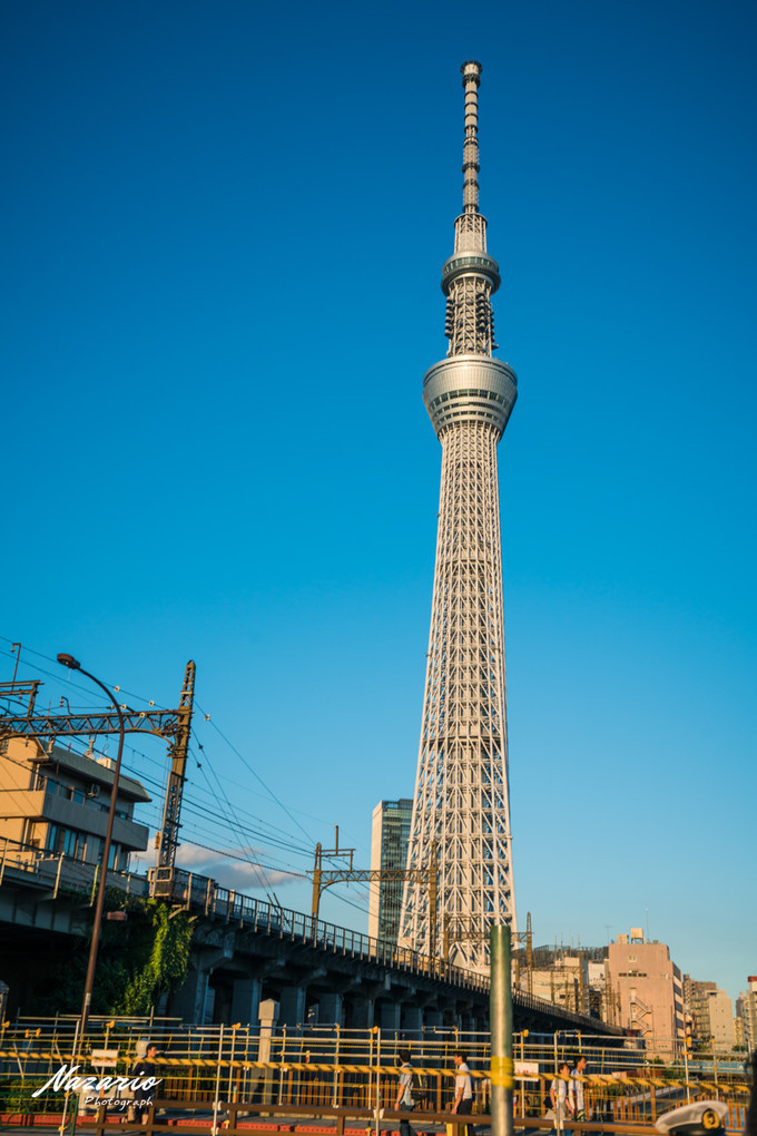 粉红猪小妹与小猪佩奇,粉红猪小妹的快乐生活