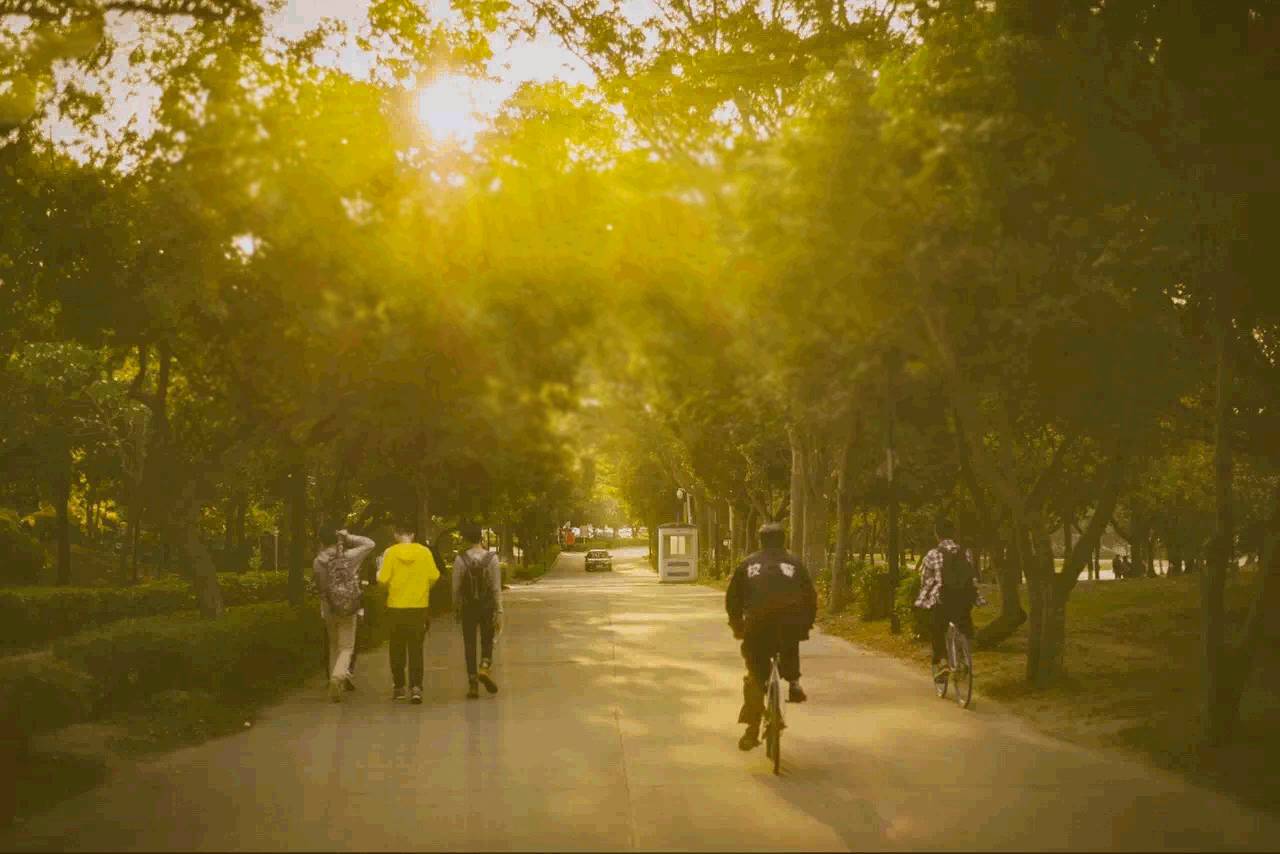 这几天千万不要来北师珠！